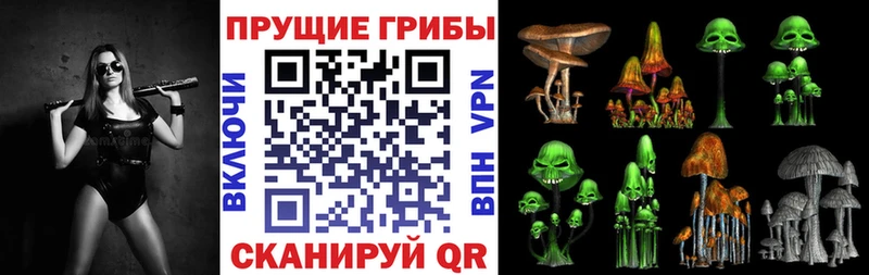 Галлюциногенные грибы мицелий  мега ссылка  Далматово  наркотики 
